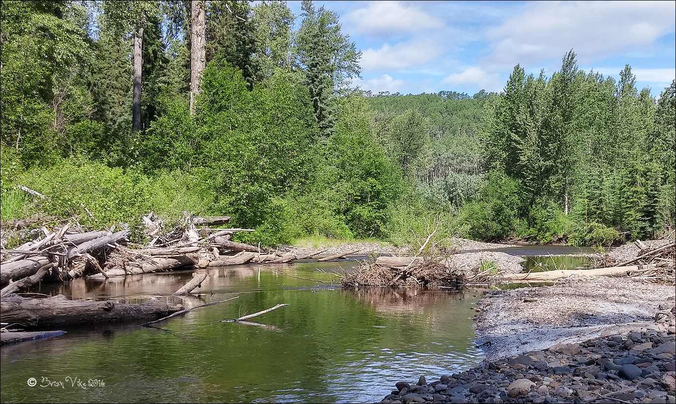 Northern Interior British Columbia June Photos Buck Creek Houston