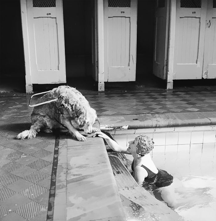 60 Inspiring Historic Pictures That Will Make You Laugh And Cry - A Blind Woman Relaxes At The Local Swimming Pool, Watched Over By Her Guide Dog, 1966