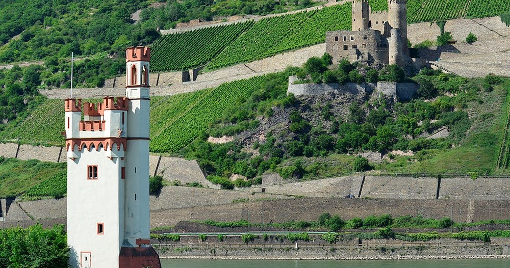 Singles mainz bingen