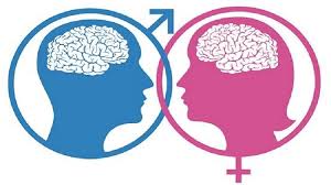 beda otak perempuan dan laki laki