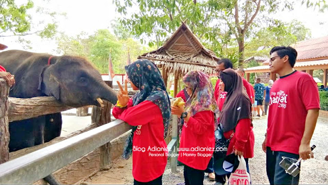 Chang Puak Camp, Hatyai ::: Pengalaman Menggerunkan Bila Naik Gajah !