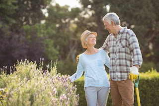 wealth management, wealth management ann arbor, financial planner ann arbor, financial planner, financial planning, financial planning ann arbor, financial plan, financial plan ann arbor, retirement ann arbor, retirement planning ann arbor, retirement plan ann arbor