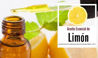 El aceite esencial de limón uno de los más populares por sus propiedades bactericidas