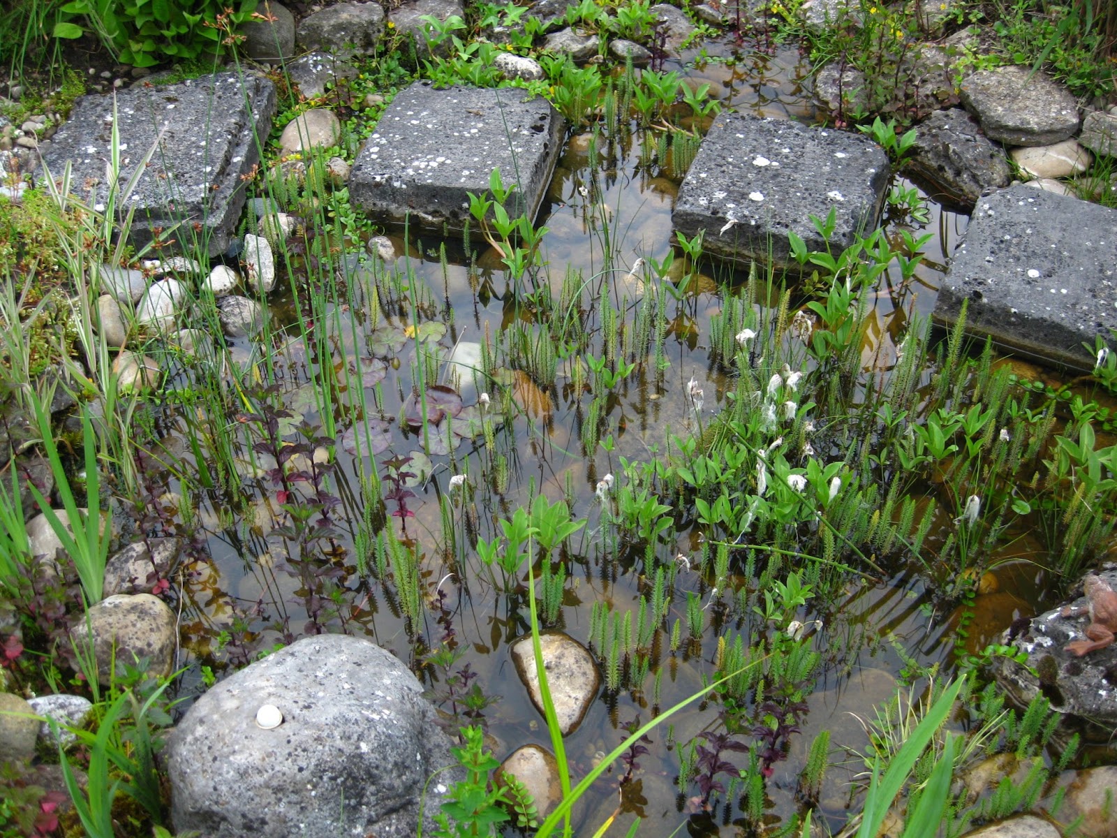 Gartenteich auf zwei Ebenen