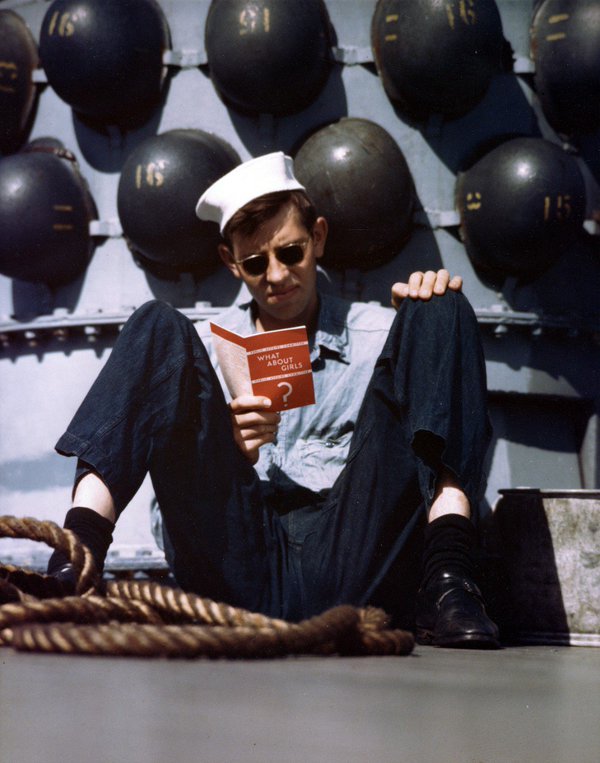 Photo of the Day Rivet Head