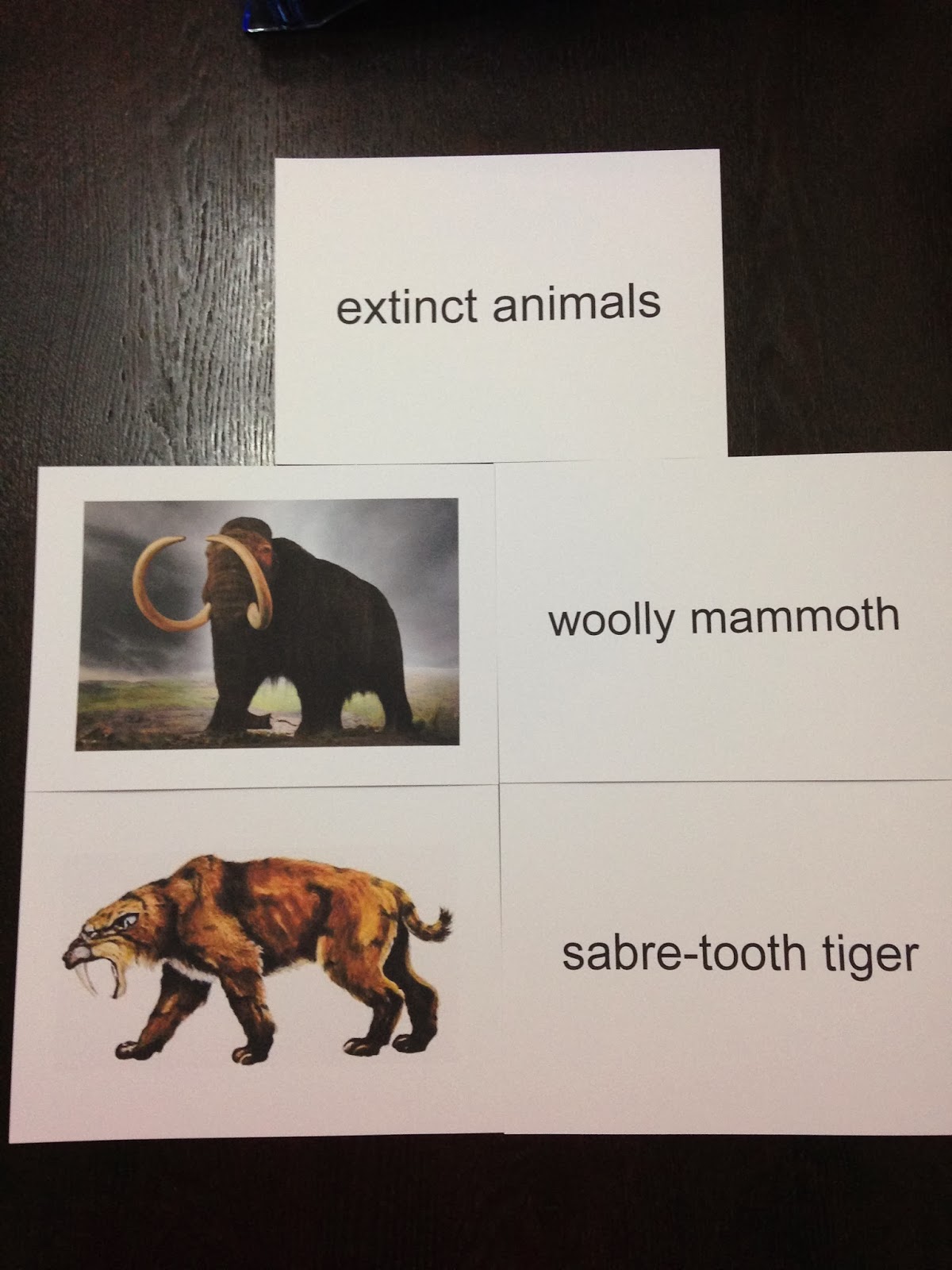 Flash Cards for Little Ones: Extinct Animals