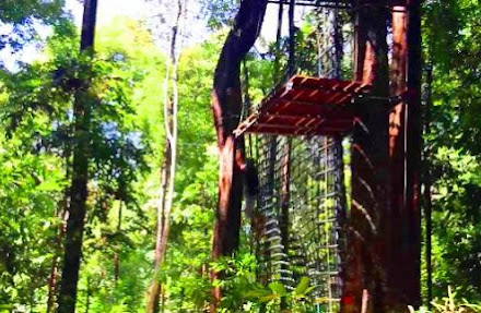 Melaka Skytrex 2019! Tempat menarik untuk aktiviti lasak di hutan.