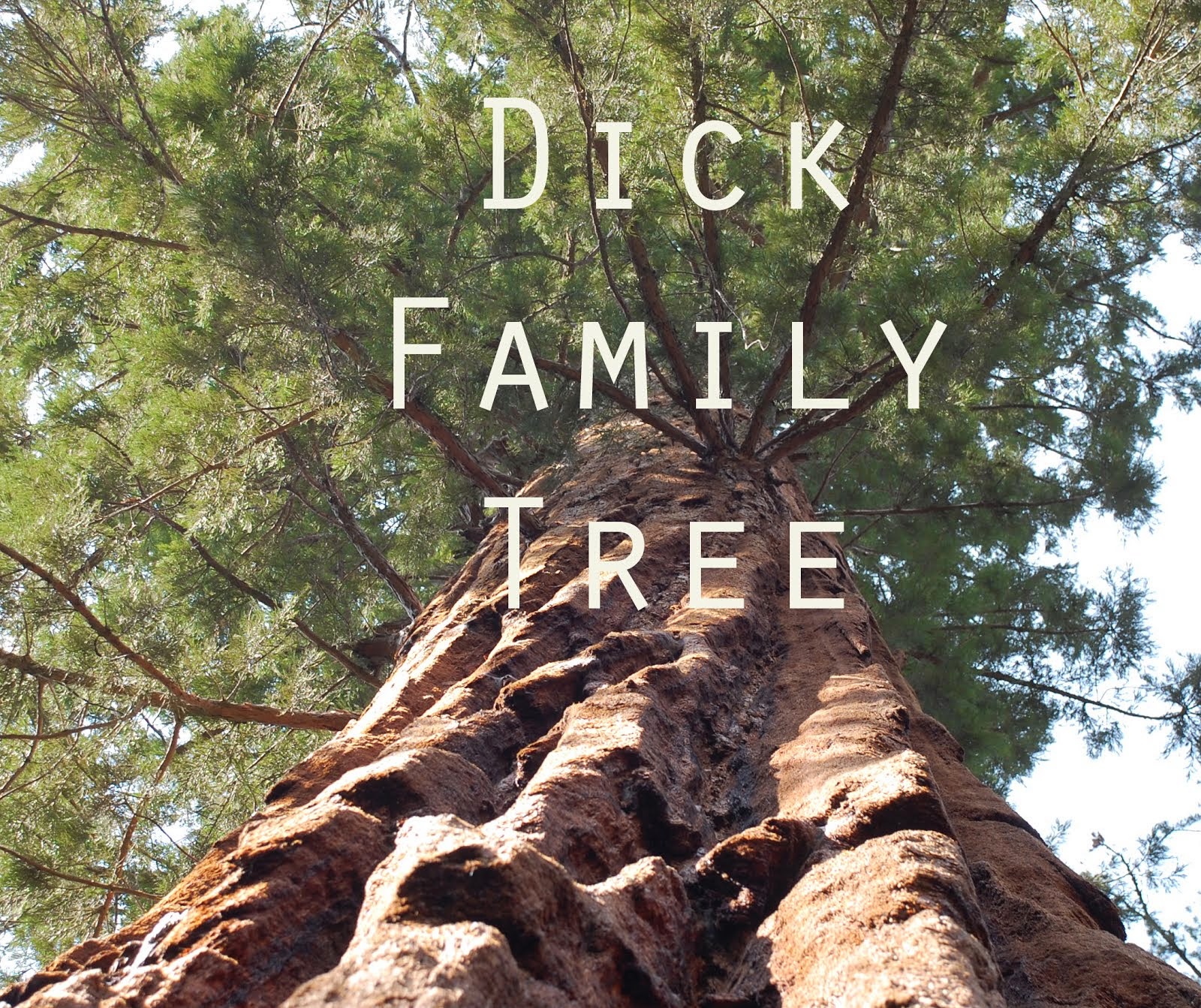 For dick family genealogy think Pity, dick family genealogy opinion