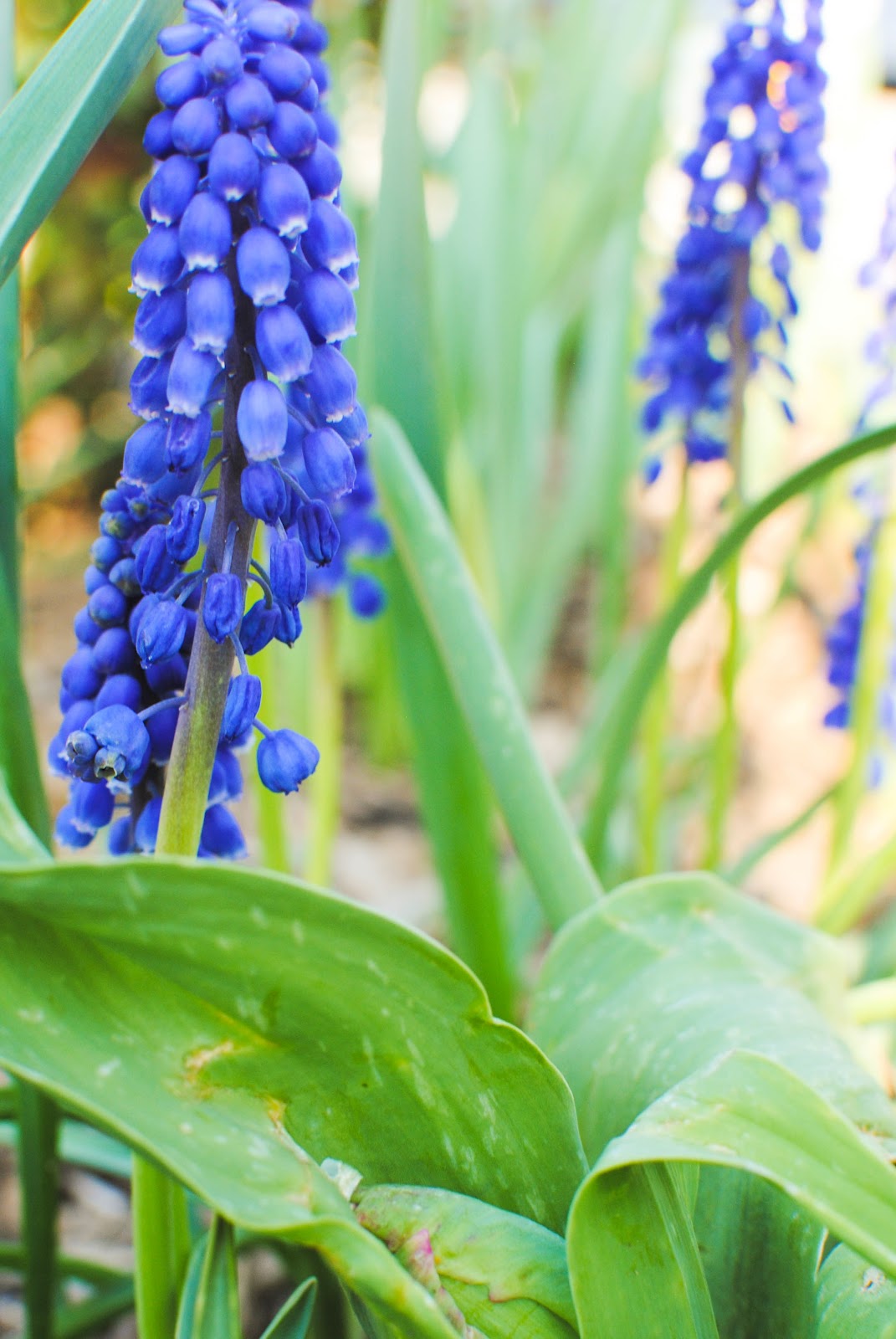 Cody Andrews Photography