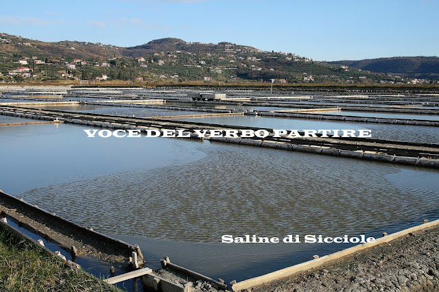 SALINE DI SICCIOLE IMPERDIBILI IN UN ITINERARIO IN SLOVENIA ON-THE-ROAD
