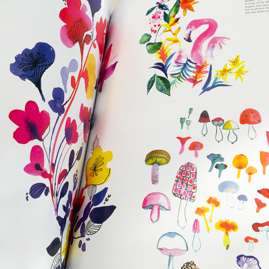 print & pattern NEW BOOK print & pattern nature