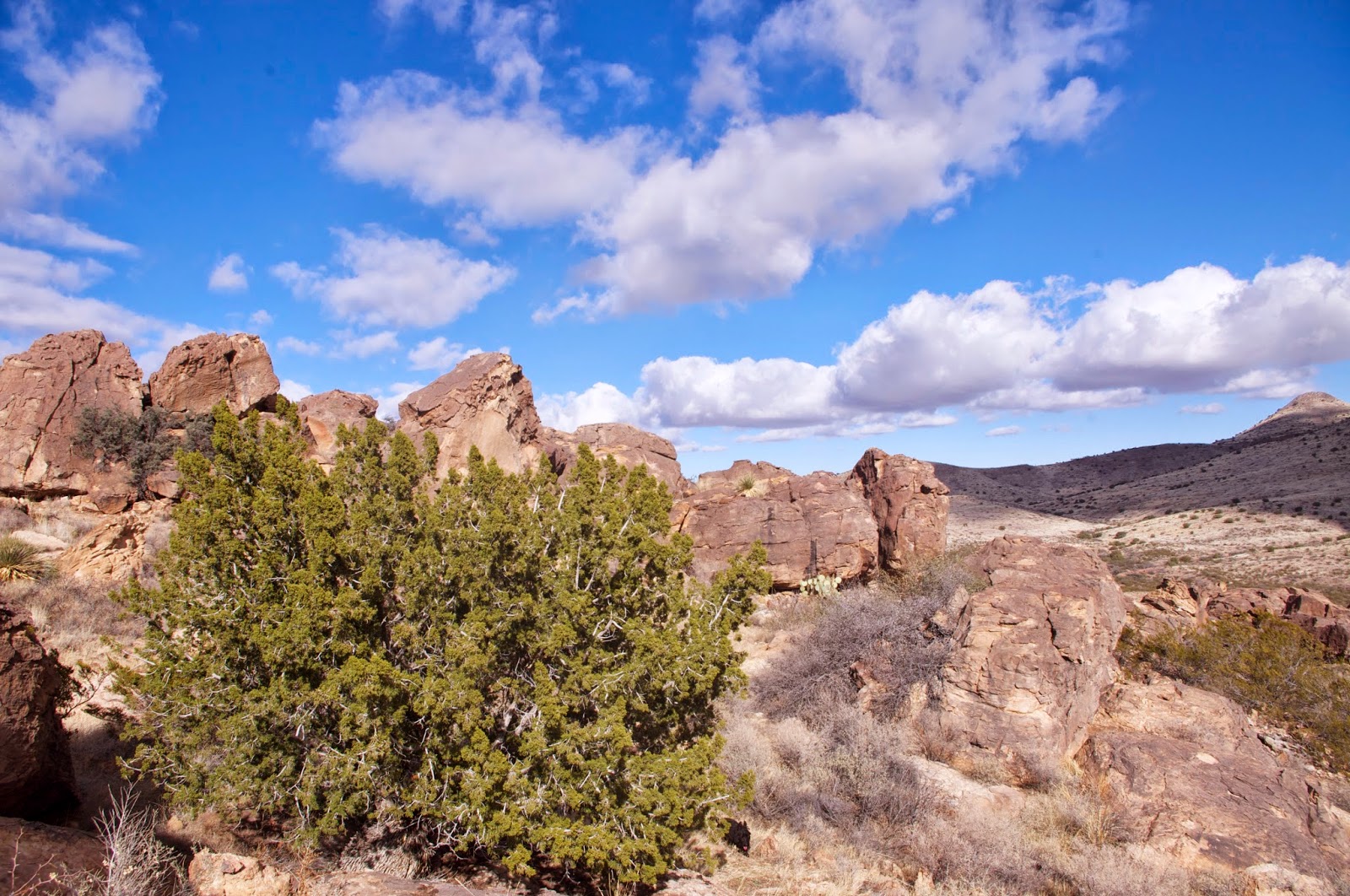 Southern New Mexico Explorer Frying Pan Canyon2015