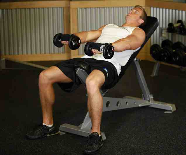 Dumbbell Front raises