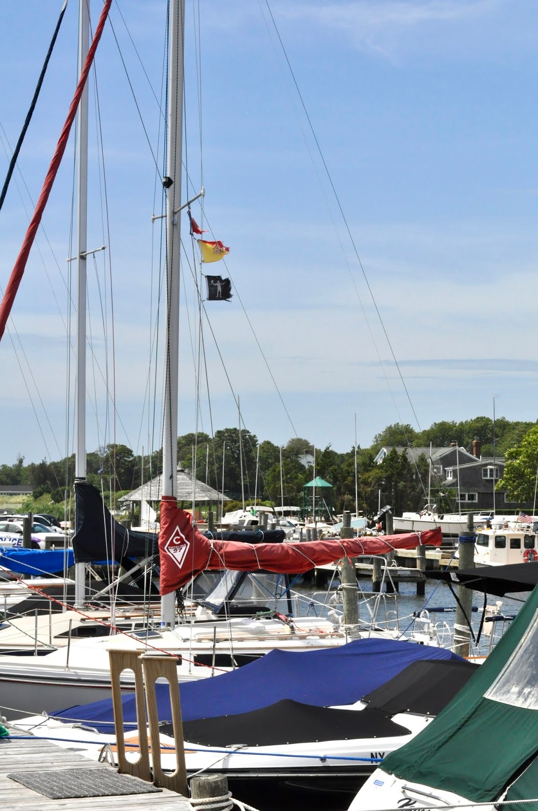 Flying By the Seat of My (Creative) Pants Let's Go Take Pictures...