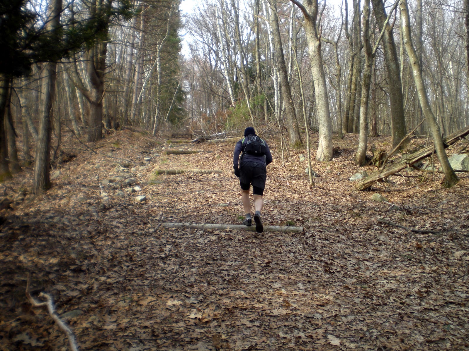 Breakheart Trail Running Bay Circuit Trail Run, Section 2 Boardwalks