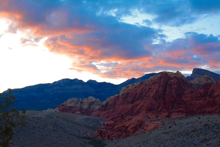 Red Rock Canyon; Nevada | My Darling Days Red Rock Canyon; Nevada | My Darling Days