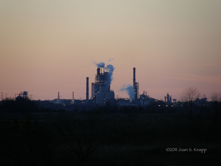 Anybody Seen My Focus? Savannah National Wildlife Refuge The Evening Before