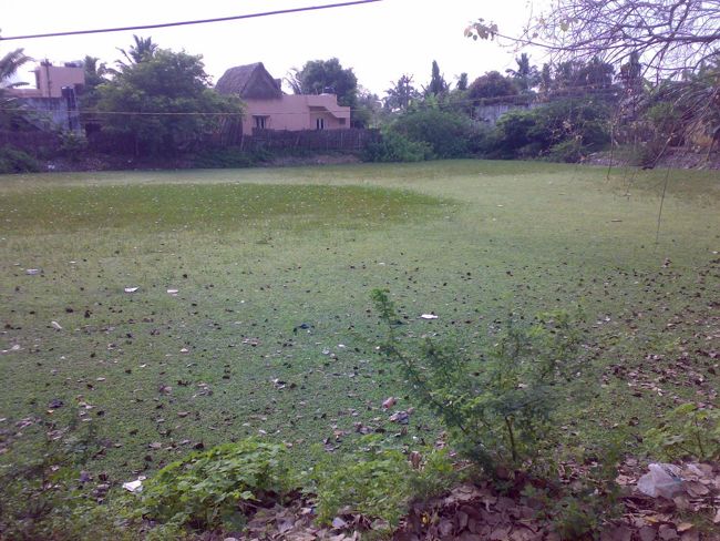 Sri Agastheeswarar Temple Tank Sri Agastheeswarar Temple Tank
