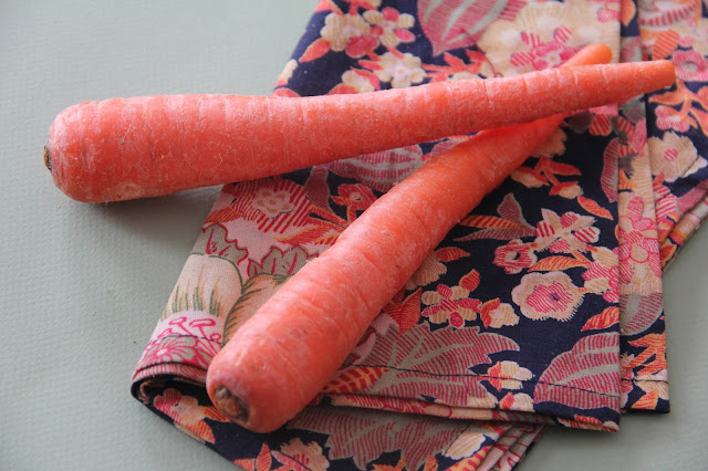 Two whole carrots sitting on top of a colorful cloth.
