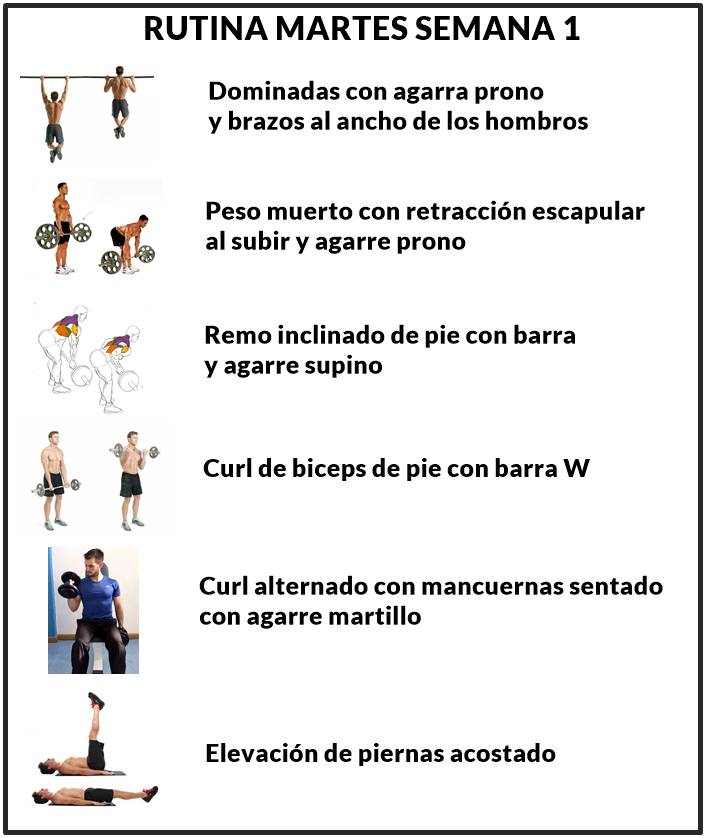 Rutina de gimnasio espalda y biceps