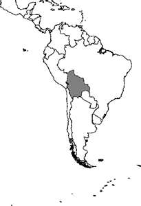 Mapa de Bolivia, ubicación en América del Sur