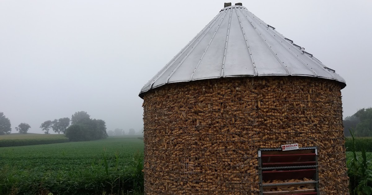 Happily married...to the cows! Shelling Out the Corn Crib...