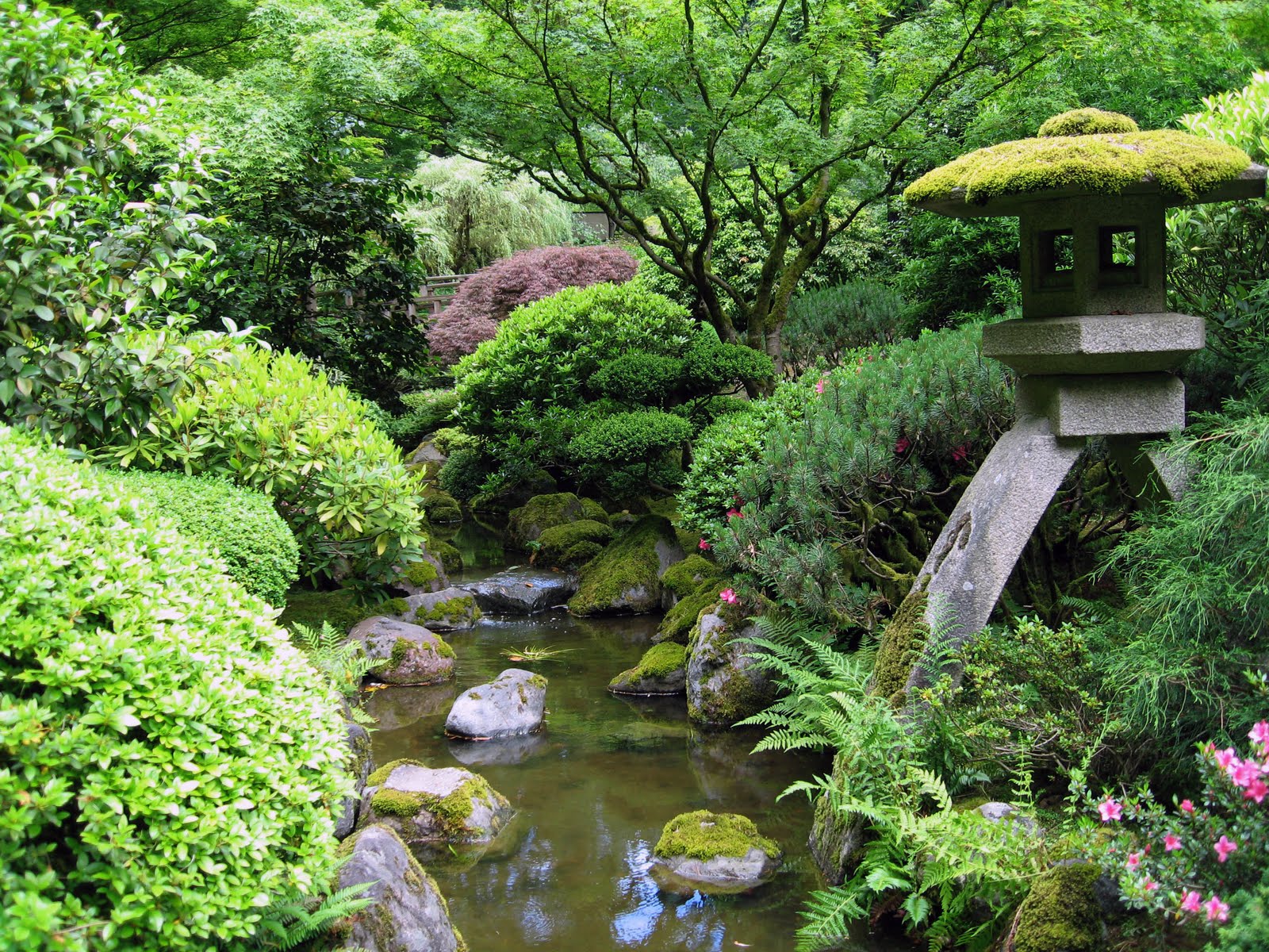 Let's Learn Japanese 日本語を勉強しましょう: Japanese Gardens ...