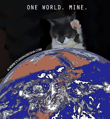 Cat World Domination Day Song