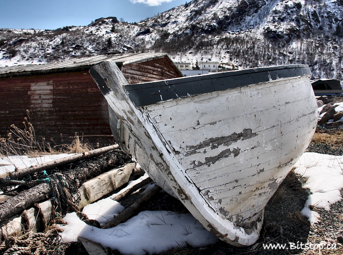 Bitstop Petty Harbour