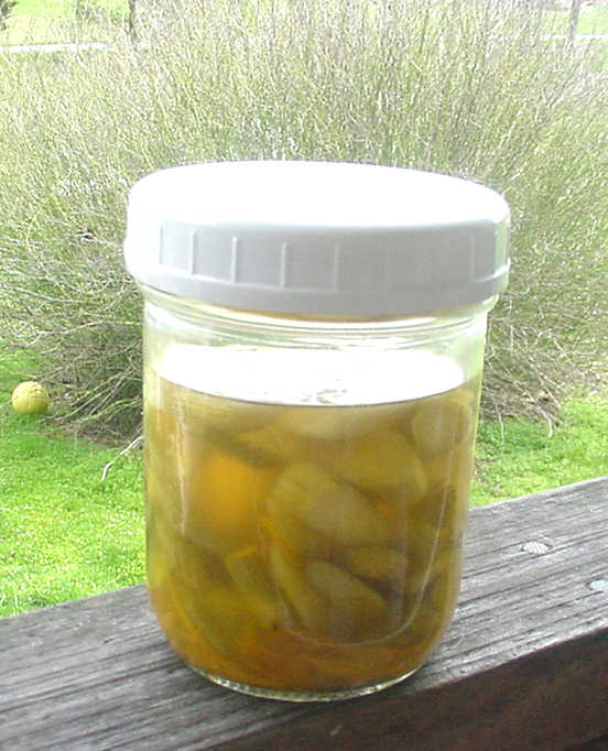 Gardening along the creek... What to do with Fennel stalks