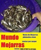 Venta de Plateadas al por mayor MOJARRAS GRANDES