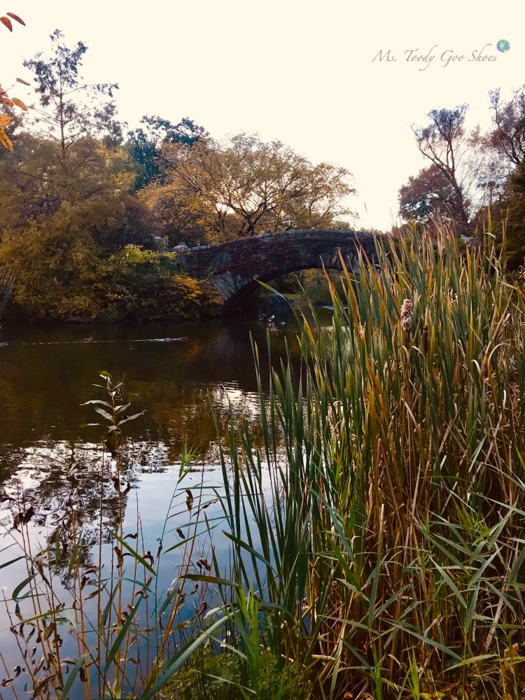 The Pond in Central Park is an oasis in the middle of New York City | Ms. Toody Goo Shoes