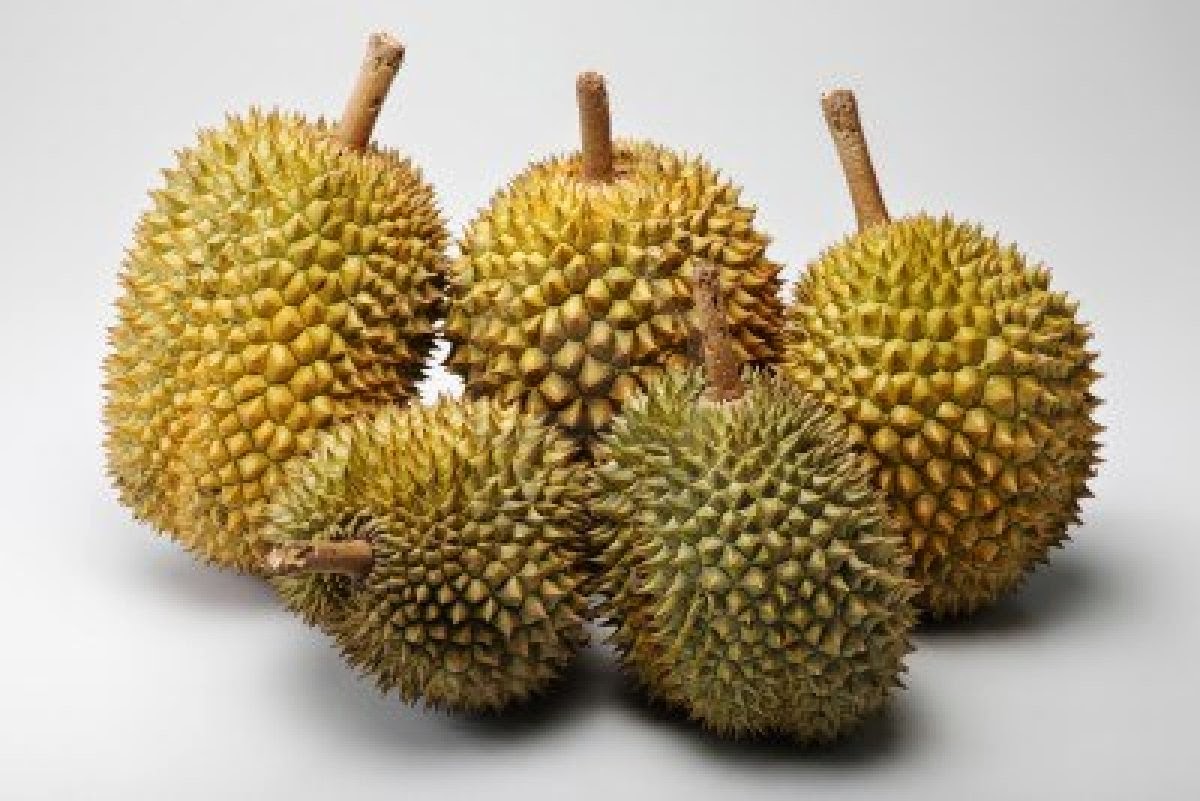 9 Buah Tropis Asli Indonesia | HiddenSkills Blog