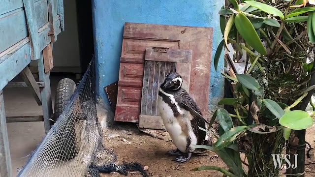 tromaktiko4250 | Lamianow.gr