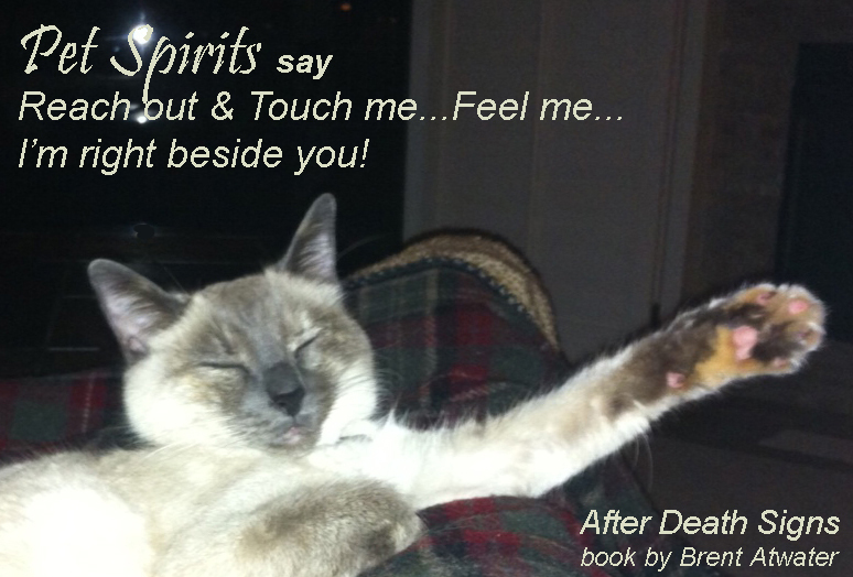 Signs from Deceased Pets Reach out and Touch me!
