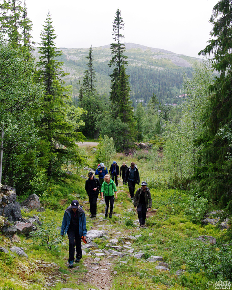 Hiking in Vemdalsskalet, Härjedalen. Photo by Alicia Sivertsson.