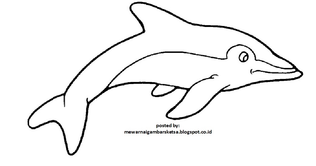 Mewarnai Gambar: Mewarnai Gambar Sketsa Hewan Ikan 4