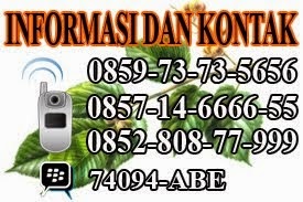 Informasi Serta Pemesanan