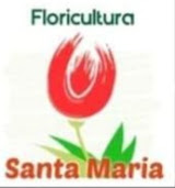 Floricultura Santa Maria