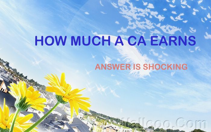 How Much A CA Chartered Accountant Earn In India how-much-a-ca-chartered-accountant-earn-in-india