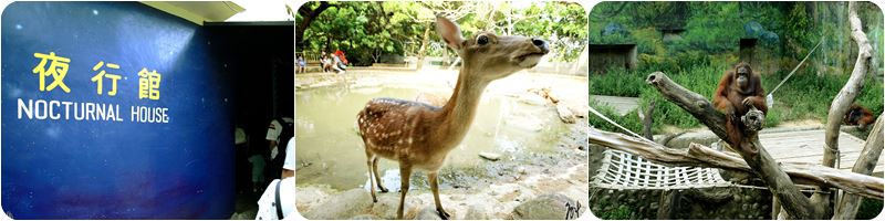 新竹市立動物園 新竹市立動物園