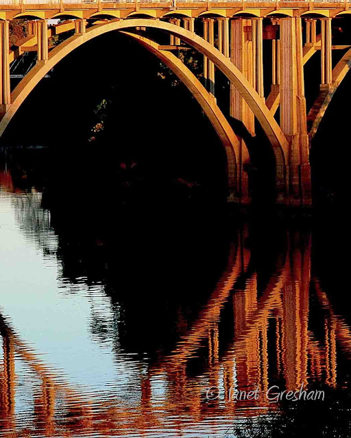Selma, Ala. Daily Photo Five O'Clock Shadow
