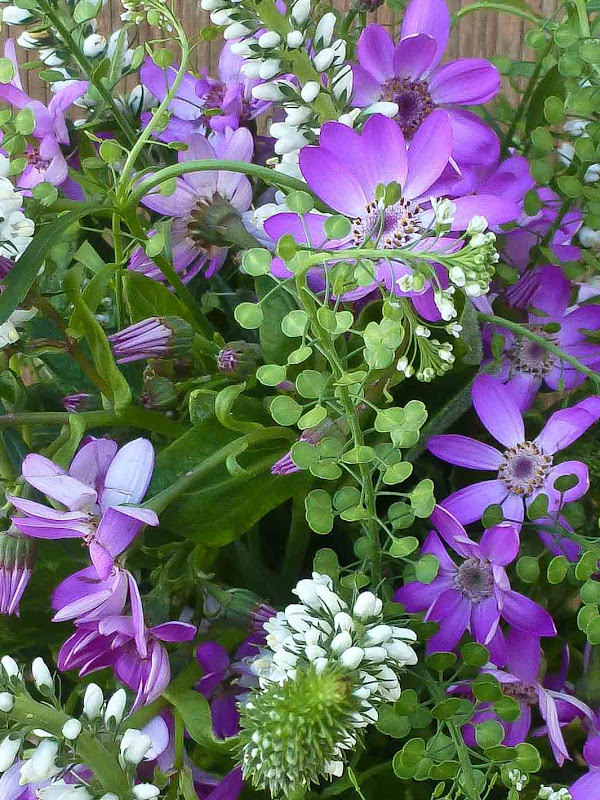 florissimo: spring wildflower bouquet
