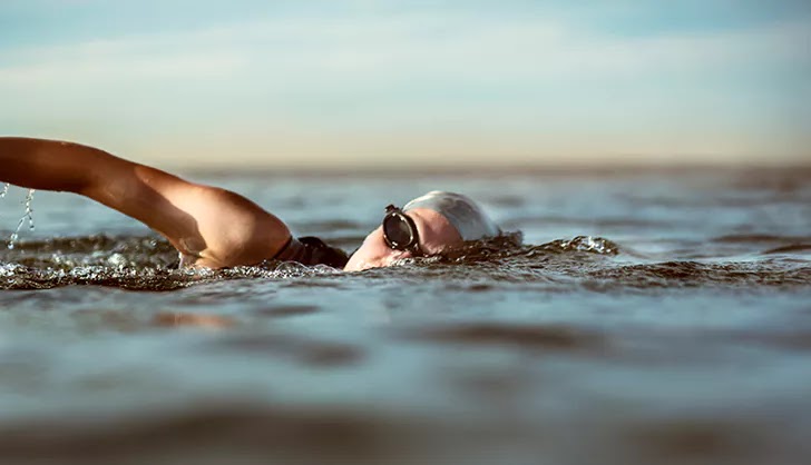 Pitta: Swimming