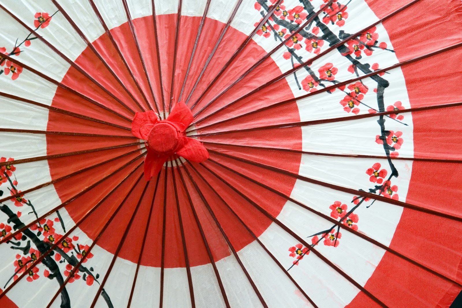 cool img max Wagasa Japanese umbrella wallpaper