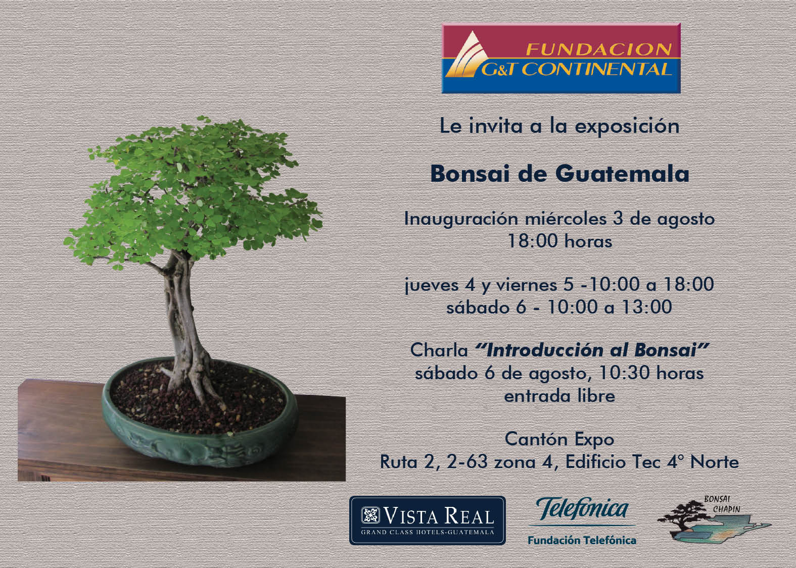 Que el azar te Bonsai de Guatemala en Cantón Exposición
