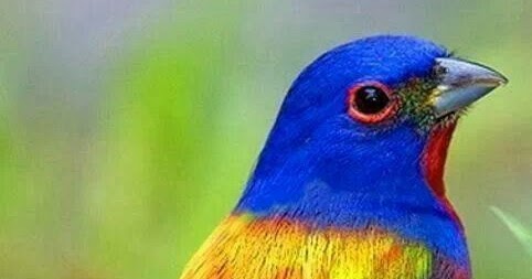 5 Steps To Eliminate Negative Thinking.