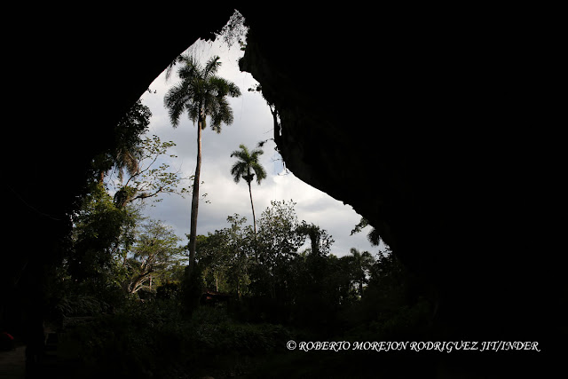 concurso nacional de fotografía de naturaleza CubaFlash 2016, realizado en la Base de Campismo Cueva de los Portales, ubicada en el territorio protegido Mil cumbres en La Palma, Pinar del Río, Cuba. concurso nacional de fotografía de naturaleza CubaFlash 2016, realizado en la Base de Campismo Cueva de los Portales, ubicada en el territorio protegido Mil cumbres en La Palma, Pinar del Río, Cuba.