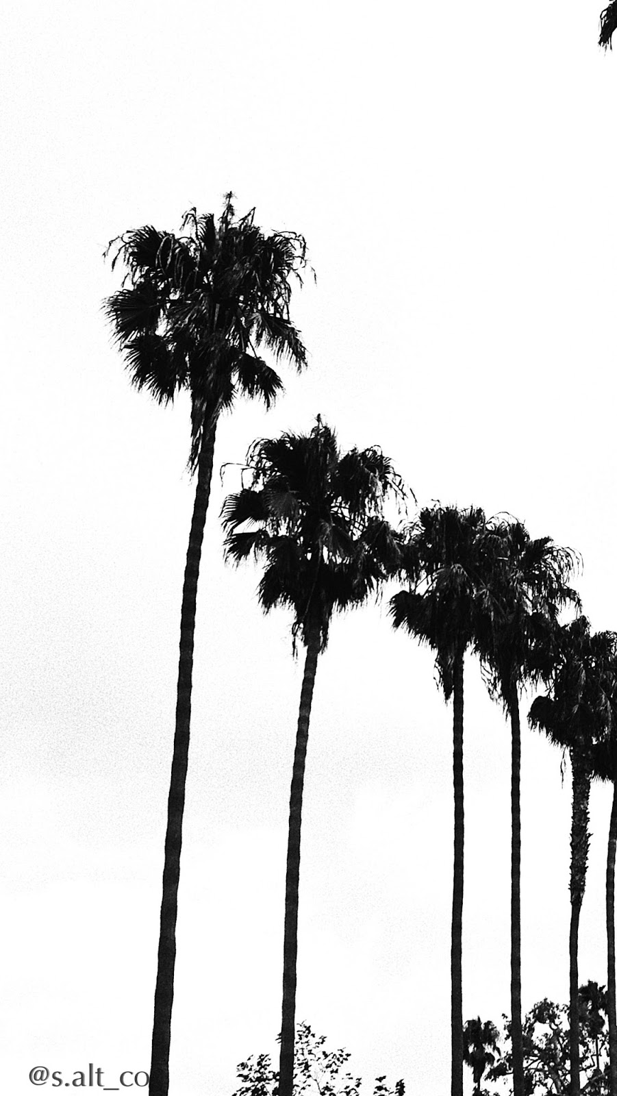 SALTscreensaver SALTscreensaver