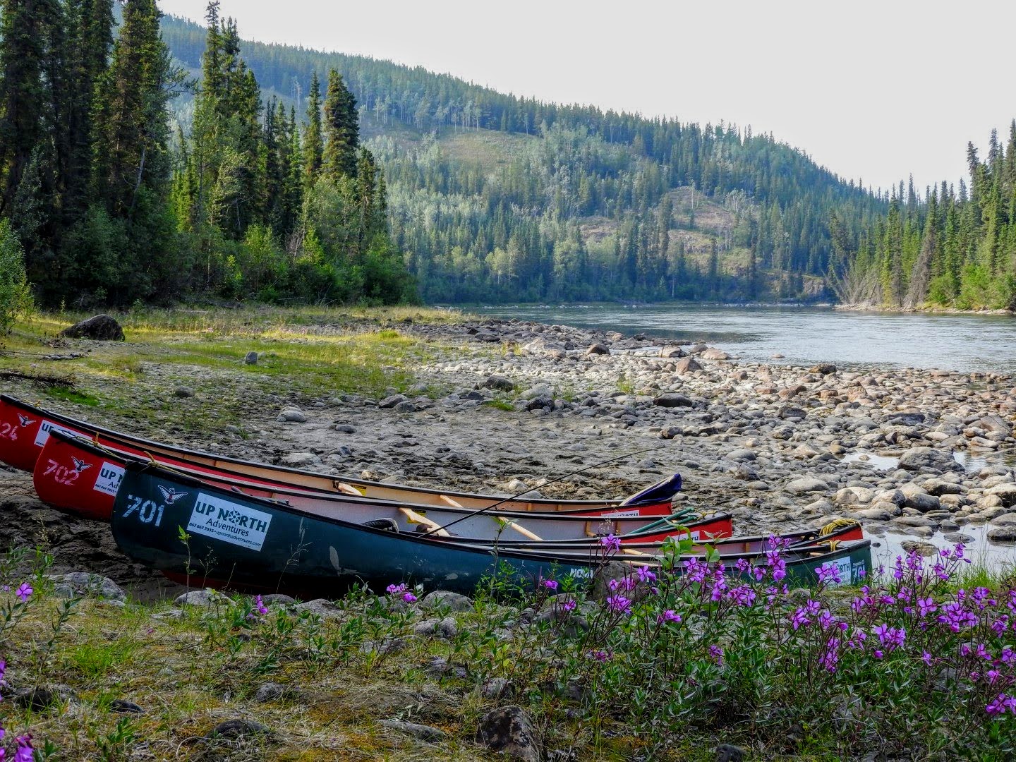 LOAFin AROUND and KANOE TRIPPING : Canoeing the Teslin and Yukon Rivers ...
